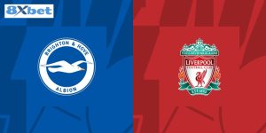 Soi kèo Brighton vs Liverpool 2h30 ngày 31/10/2024 – Cúp EFL