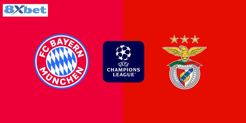 Soi kèo Bayern Munich vs Benfica lúc 03h00 ngày 07/11/2024